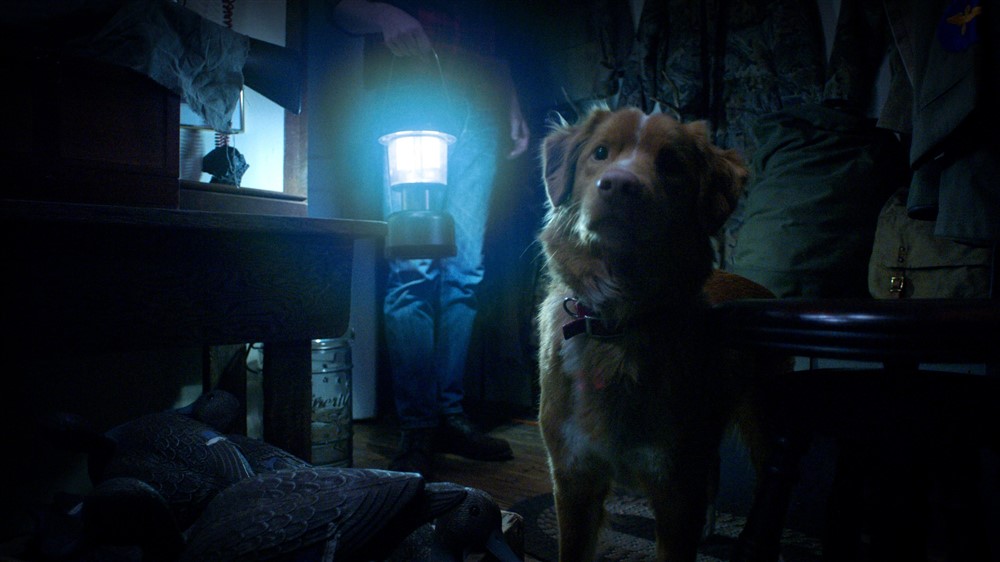 GoodBoy_still1