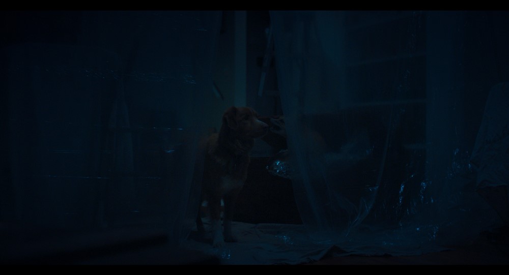 GoodBoy_still3