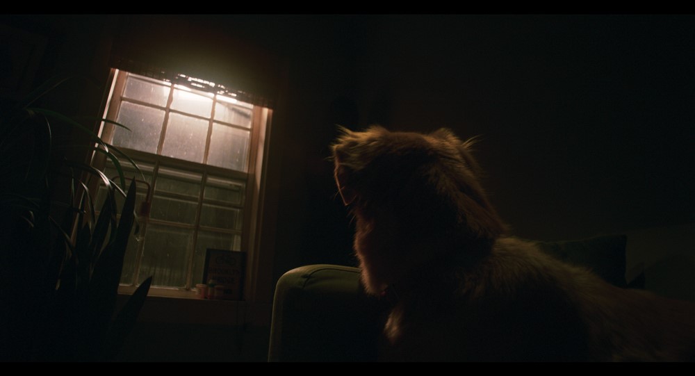 GoodBoy_still4