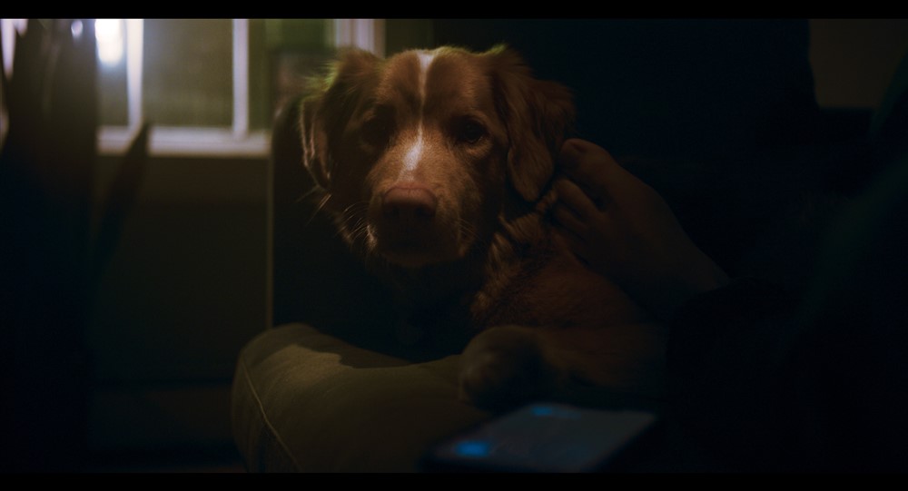 GoodBoy_still5