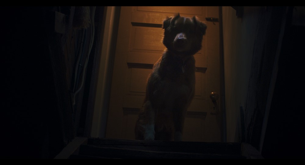 GoodBoy_still6